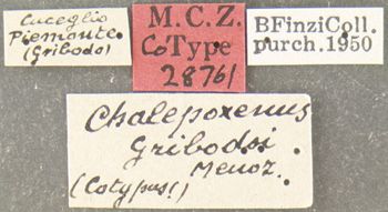 Media type: image; Entomology 28761   Aspect: labels